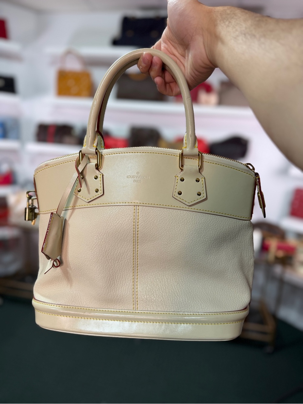chesscats $4000 Retail LV Goat and Calfskin Leather Handbag